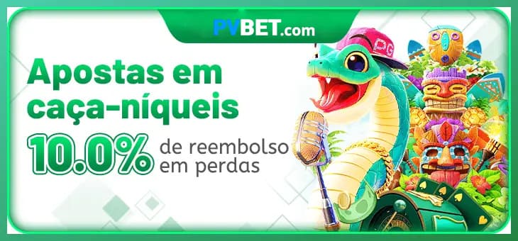 PVBET termos — contrato de uso e regulamento da plataforma